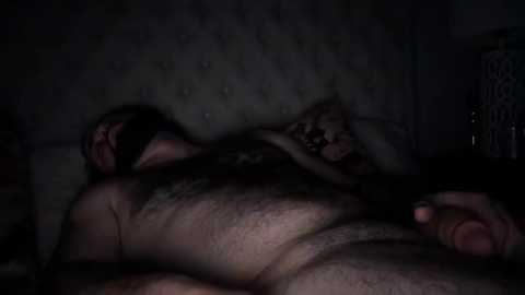 Media: Video of a man with a beard lying on a bed, his head tilted back, eyes closed, and hand on his stomach. The dimly lit room features a tufted headboard and dark, shadowy surroundings.