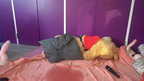 Media: A video shows a person lying on a bed with a purple wall behind, wearing a red shirt and black underwear, surrounded by pink and black sex toys.