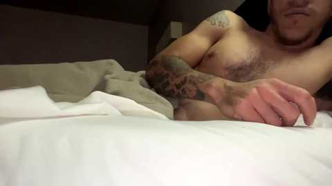 Media: A video of a shirtless man with tattoos on his left arm and chest, lying on white sheets in a dimly lit bedroom.