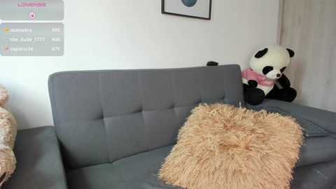 Media: A video of a gray sofa with a fluffy, beige throw pillow and a large, plush panda toy on a white wall with framed artwork.