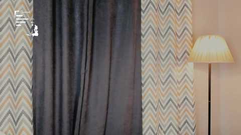 Media: Video of a room featuring dark, textured curtains with a zigzag patterned wallpaper in muted earth tones and a modern, white lamp with a cylindrical shade on the right.