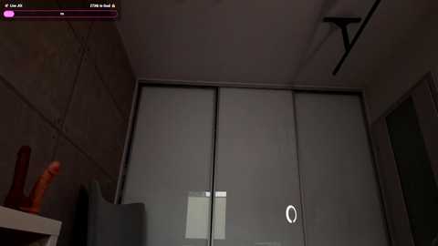 Media: A dimly-lit, narrow room with concrete walls, a closed sliding door, and a red sex toy on a shelf. A circular \"X\" icon is visible on the door.