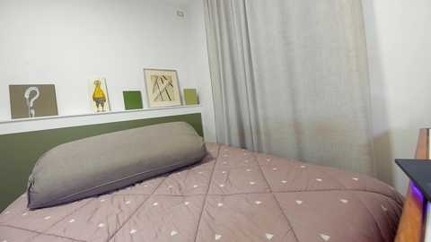 Media: Video of a minimalist bedroom with a queen-sized bed covered in a muted pink quilt featuring small white dots. The headboard is a dark green panel, and the walls are white. Light beige curtains cover a window. Two modern abstract paintings hang above the bed.