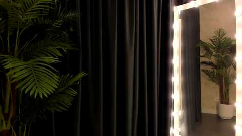 Media: A video featuring a dark green curtain with vertical folds, illuminated by a bright, rectangular mirror with white lights on the right. To the left, there's a potted palm plant. The background is dimly lit, creating a dramatic contrast.