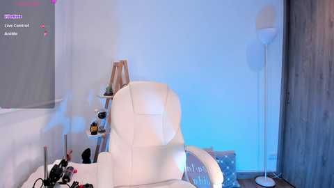 Media: Video of a modern, minimalist living room with a white leather chair, wooden shelf, and a tall floor lamp. The room is lit with a blue hue, and a gray window shade covers the left wall.