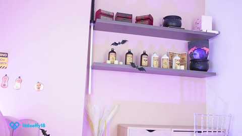 Media: Video of a minimalist, pastel-colored bathroom with a gray wooden shelf holding various toiletries and a black bat decoration. The shelf is mounted on a pale yellow wall.