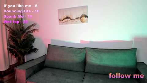 Media: Video of a dimly lit, gray sofa with cushions in a living room, featuring a potted plant and abstract artwork on the wall. Text overlays: \"If you like me- Bouncing tits-10,\" \"Dunk me-10,\" \"Follow me-10.\