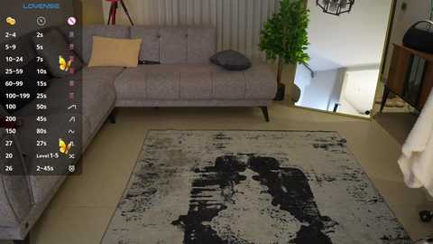 Media: Video of a modern living room with a gray sectional sofa, a large plant, and a textured rug.