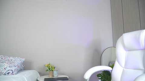 Media: A video of a minimalist bedroom featuring a white leather chair, floral-patterned pillow, green potted plant, and a white round mirror on a gray wall.