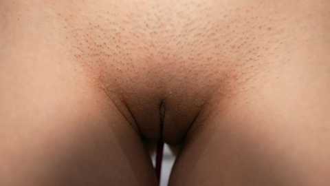 Media: A close-up video of a person's shaved vulva, showing light brown skin with sparse pubic hair growth, revealing the labia and clitoral hood. The background is a plain, light-colored surface, likely a bed or couch.