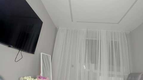 Media: A video of a minimalist bedroom with a white ceiling, grey walls, a large black flat-screen TV, sheer white curtains, and a mirror.