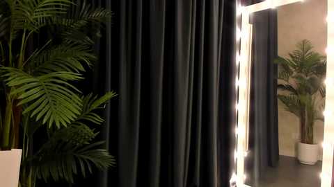 Media: Video of a dark green curtain with a light green potted palm on the left, reflecting in a white-framed mirror on the right.