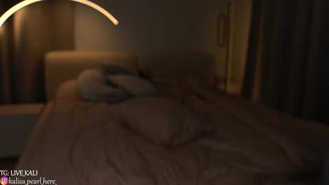 Media: A dimly lit video of a bedroom with a beige headboard, a pink bedspread, and a faint silhouette of a person lying down. The image features a watermark \"TG_LIVEREAL\" in the bottom left corner.