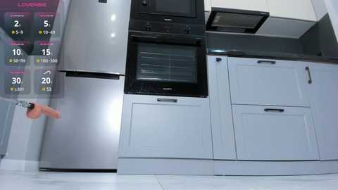 Media: Video of a sleek, modern kitchen with light gray cabinets, stainless steel fridge, and black oven; a hand opens the fridge door. Virtual temperature display overlays the image.