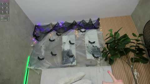 Media: Video of a minimalist room with concrete walls, a black metal fan, and a large green plant, decorated with a black spider web curtain and fairy lights, featuring black bats.