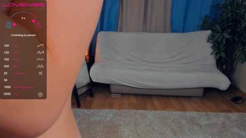 Media: A video captures a woman's bare backside, positioned in the foreground, with a grey couch draped in a white sheet in the background. The room features blue curtains and a green plant.