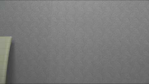 Media: Video of a textured gray wall with subtle floral patterns, partially visible green notebook page in the lower left corner.