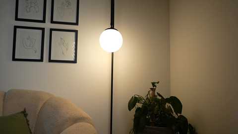 Media: Video of a cozy, warmly lit room with beige walls. A tall, modern floor lamp with a round, white bulb illuminates a potted plant on a dark wooden side table. Artwork and a plush beige couch are visible in the background.