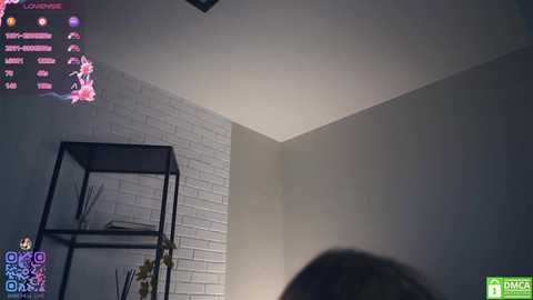 Media: A video showing a dimly lit room with a white brick wall, a black metal shelf, and a person's back. The top left corner displays a virtual reality interface with icons.