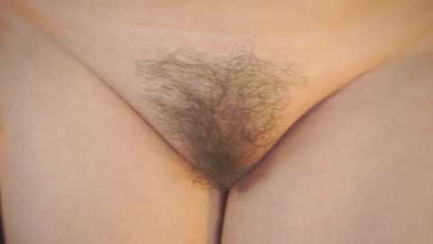 Media: Video of a woman's pubic area, showing a natural, untrimmed patch of dark brown hair, with fair, smooth skin surrounding it.