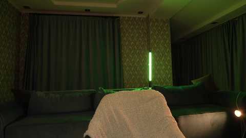 Media: Video of a dimly-lit, modern living room with dark gray sectional sofa, patterned wallpaper, green-tinted fluorescent lamp, and sheer curtains, creating a moody, intimate atmosphere.