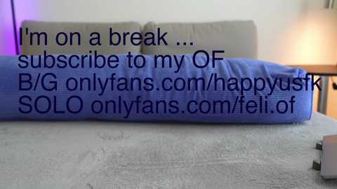 Media: Video of a bed with a gray pillow, blue comforter, and a text overlay reading \"I'm on a break... subscribe to my OF (G) onlyfans.com/feliof SOLO onlyfans.com/feliof.\" Background shows a lamp and part of a wooden nightstand.