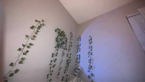 Media: A video of a beige wall adorned with long, green ivy plants and a small, white ceramic vase. The room is dimly lit with a soft blue light casting shadows.