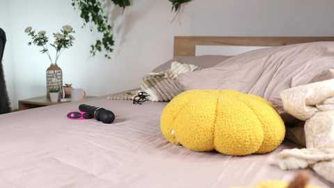 Media: Video of a cozy bedroom with a light wood headboard, beige bedding, a yellow knitted pillow, a black vibrator, and a potted plant in the background.