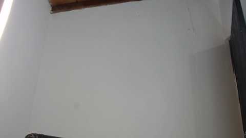 Media: Video of a bare, white-painted wall with a small, rectangular window on the top left. The wall appears smooth and slightly textured.