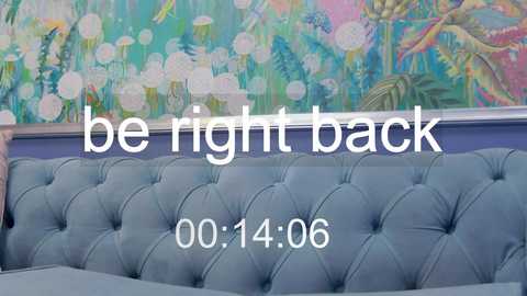 Media: Video of a blue, tufted leather sofa with a floral mural backdrop. Text overlay reads, \"be right back 00:14:06.\