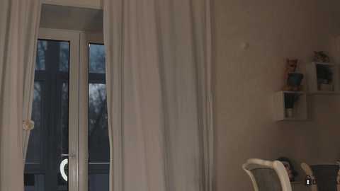 Media: A video of a dimly lit, sparsely furnished room with beige walls and a white door. A white curtain partially covers a window, revealing a dark, blurry outdoor view. A white chair and a small shelf with potted plants are visible in the right corner.