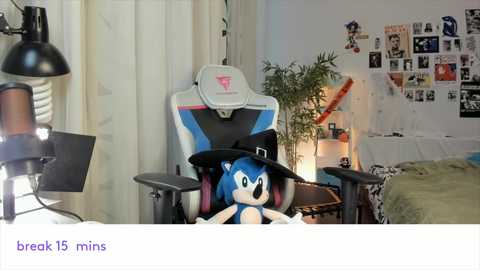 Media: A video captures a Sonic the Hedgehog plush doll in a gaming chair, surrounded by a cozy bedroom with a desk, plants, and posters.