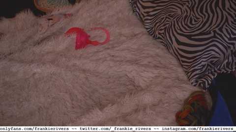 Media: A video shows a zebra-patterned pillow and a soft, beige fur blanket with a pink plastic toy. The background includes a partially visible, colorful, woven basket.