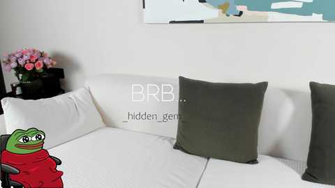 Media: Video of a modern living room with a white couch, three green and gray pillows, a black vase with pink flowers, and a digital frog graphic on the left.