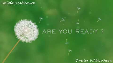 Media: Video of a dandelion with white seeds against a green background, featuring the text \"ARE YOU READY?\" and social media handles \"Onlyfans/a_bieowen\" and \"Twitter @AbeeeOwen.\