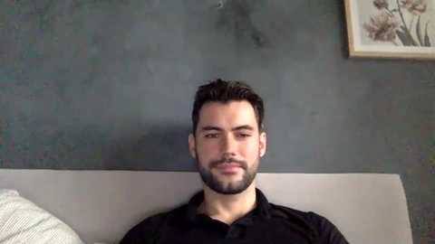 Media: Video of a bearded man with short, dark hair, wearing a black shirt, sitting on a gray couch against a textured, dark gray wall with a framed floral painting.