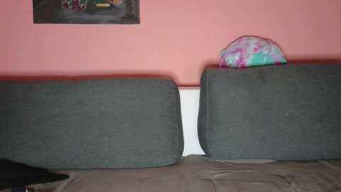 Media: A video of a gray couch with a white pillow, a colorful pillow peeking from behind, and a pink wall. The scene is minimalistic and cozy, suggesting a simple living room setup.