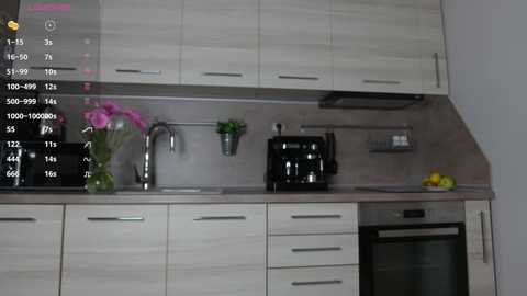 Media: Video of a modern kitchen with light wood cabinets, stainless steel appliances, and a black kettle. Pink flowers in a vase and a green plant add color.