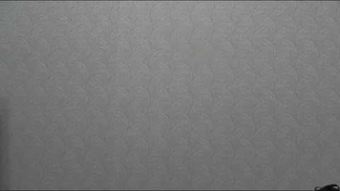 Media: This image is a video of a plain, textured gray wall with subtle circular patterns. The background is uniform, devoid of objects or people, and the lighting is soft, giving it a slightly matte finish.