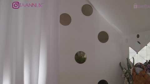 Media: Video of a modern room with white walls and three circular cutouts. A pink \"I'MANIL\" watermark is visible in the top left corner. A bouquet of white flowers is partially visible in the right background.