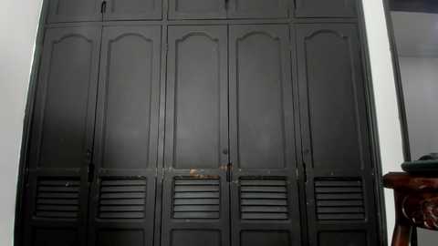 Media: Video of a dark gray, metal, louvered closet door with vertical panels and small vents at the bottom, set against a plain white wall.