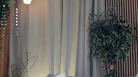 Media: Video of a dimly lit room with beige curtains, a large potted plant, and wooden wall panels, featuring a live streaming overlay with a camera feed and chat window.