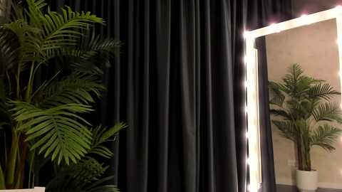 Media: Video of a room with black curtains, a mirror with bright lights, and two tall, green, artificial palm trees.