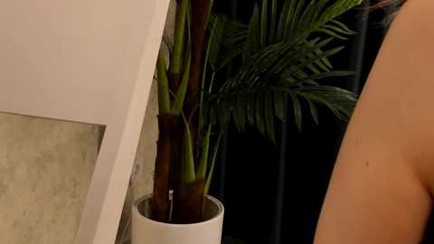 Media: Video of a partially visible person with light skin, standing next to a potted palm tree against a white wall and black metal fence, with a beige floor tile in the background.