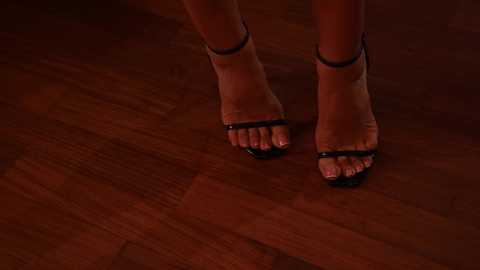 Media: A video of a woman's bare legs and feet, wearing black, open-toe high-heeled sandals on a polished wooden floor, lit with warm, dim lighting.