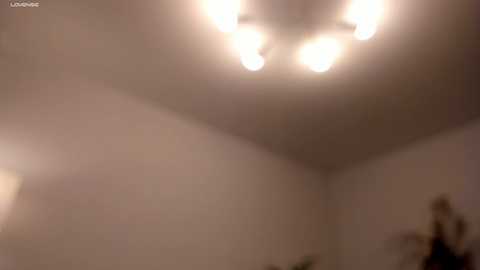 Media: A blurred, dimly lit video of a corner room with beige walls, a ceiling light fixture, and indistinct objects in the background. The image is grainy and out of focus.