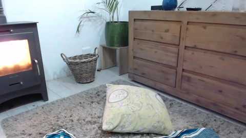 Media: Video of a cozy living room with a wooden chest of drawers, a fireplace, and a soft beige rug, featuring a wicker basket and a large potted plant.