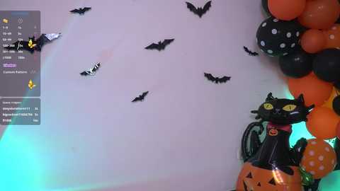 Media: Video of a Halloween-themed room with a white wall adorned with black bats, orange balloons, and a black cat figurine in a witch's hat.