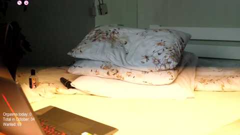 Media: Video of a messy bedroom with two pillows on a bed, a black marker, and a smartphone on a light-colored surface, indicating a chaotic environment.