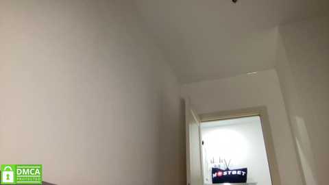 Media: Video of a minimalist, white-walled hallway leading to a partially open door revealing a brightly lit room with a flat-screen TV and decor.